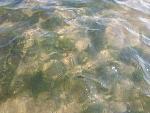     
: IMG_20190810_154324.jpg
: 43
:	144.8 
ID:	13182989