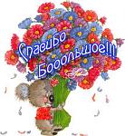     
:   (2).jpeg
: 35
:	17.3 
ID:	13183741