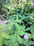     
: 2019815112008.jpg
: 13
:	148.3 
ID:	13186232