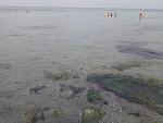     
: IMG_20190815_162118.jpg
: 35
:	100.8 
ID:	13186414