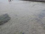     
: IMG_20190815_162126.jpg
: 33
:	127.9 
ID:	13186415