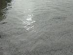     
: 1565937472502931174554.jpg
: 19
:	219.8 
ID:	13186747