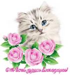     
: 311412914.jpg
: 18
:	25.0 
ID:	13187323