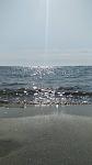     
: IMG_20190818_092357.jpg
: 31
:	56.7 
ID:	13188029