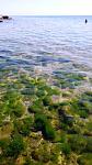    
: 20190819_115058.jpg
: 33
:	88.6 
ID:	13188764