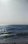     
: IMG_20190821_140929.jpg
: 39
:	43.0 
ID:	13190135
