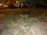     
: IMG_20190823_222322.jpg
: 25
:	152.6 
ID:	13191739