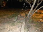     
: IMG_20190823_222315.jpg
: 17
:	167.7 
ID:	13191740
