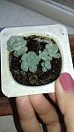     
: 20190824_105246.jpg
: 47
:	66.2 
ID:	13191941