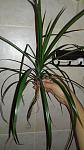     
: 20190824_105224.jpg
: 55
:	80.1 
ID:	13191942