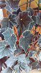     
: 20190824_105423.jpg
: 61
:	84.5 
ID:	13191945