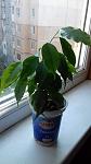     
: 20190824_105513.jpg
: 38
:	61.7 
ID:	13191946