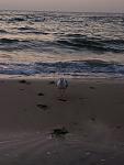     
: IMG_20190825_055642.jpg
: 31
:	78.6 
ID:	13192435