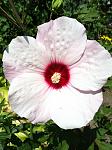     
: IMG_1892.jpg
: 14
:	188.7 
ID:	13192544