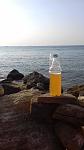    
: 20190825_073214.jpg
: 31
:	63.5 
ID:	13192585