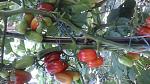     
: 20190825_173131.jpg
: 14
:	131.5 
ID:	13192791