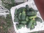     
: 20190817_180402.jpg
: 10
:	192.3 
ID:	13192923