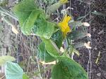     
: 20190817_180249.jpg
: 11
:	143.1 
ID:	13192924