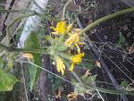     
: 20190817_180238.jpg
: 11
:	155.6 
ID:	13192925