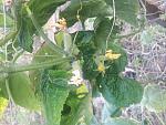     
: 20190817_180215.jpg
: 9
:	160.0 
ID:	13192927
