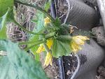     
: 20190817_180158.jpg
: 10
:	129.0 
ID:	13192929