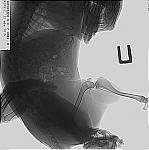     
:    22 08 2019-2.JPG
: 24
:	176.6 
ID:	13193018