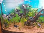     
: 20190826_090909.jpg
: 22
:	175.8 
ID:	13193073