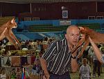     
: Garf.jpg
: 26
:	86.3 
ID:	1319324