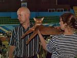     
: Garf2.jpg
: 25
:	88.5 
ID:	1319326