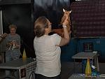     
: Ioka9.jpg
: 13
:	61.9 
ID:	1319350