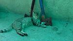     
: IMG_20190608_163820.jpg
: 8
:	109.7 
ID:	13194773