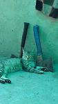     
: IMG_20190608_163957.jpg
: 11
:	63.0 
ID:	13194775