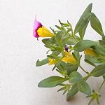     
: DSCN5502.JPG
: 28
:	135.8 
ID:	13195560