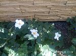     
: P90830-113410.jpg
: 10
:	156.1 
ID:	13195643
