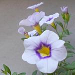     
: DSCN5504.JPG
: 21
:	192.9 
ID:	13195806