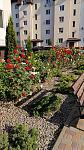     
: IMG-bf98999f5431a37ab0516ff2ce87c4f9-V.jpg
: 43
:	152.0 
ID:	13196534
