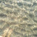     
: IMG_20190901_090638.jpg
: 36
:	90.5 
ID:	13196576