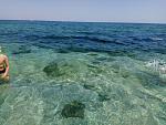     
: IMG_20190901_131905.jpg
: 24
:	190.8 
ID:	13196818