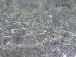     
: IMG_20190901_131725.jpg
: 26
:	248.5 
ID:	13196820