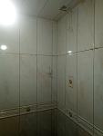     
: P90823-174901.jpg
: 15
:	47.3 
ID:	13199224