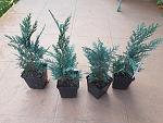     
: 20190903_162307.jpg
: 14
:	180.5 
ID:	13199562