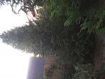     
: 20190905_063519.jpg
: 11
:	144.7 
ID:	13200255