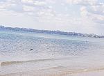     
: 20190905_113840.jpg
: 125
:	150.5 
ID:	13200513