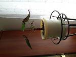     
: 20190906_114823.jpg
: 22
:	88.7 
ID:	13201339