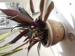     
: 20190906_114513.jpg
: 14
:	143.4 
ID:	13201342