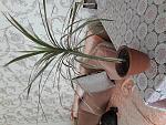     
: 20190906_114453.jpg
: 19
:	203.5 
ID:	13201343