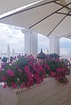     
: 20190905_130917.jpg
: 16
:	77.8 
ID:	13202111