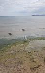     
: 20190907_141337.jpg
: 17
:	122.5 
ID:	13202112