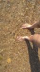     
: IMG_20190907_154400.jpg
: 27
:	160.4 
ID:	13202256