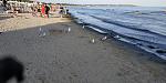    
: IMG_20190908_174849.jpg
: 28
:	164.5 
ID:	13203061
